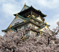 Osaka One Day Walking Tour including lunch and Osaka River Cruise