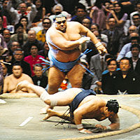 Sunrise Sumo Wrestling Tour - Tokyo Tournament