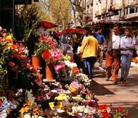 Private Full Day Barcelona City Sightseeing Tour