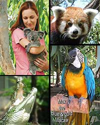 Cairns Tropical Zoo