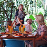 Feeding Time at the Cairns Tropical Zoo including Breakfast