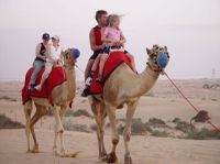 Private 4x4 Desert Wonder Safari - Sandboarding, BBQ Dinner and Bellydancer