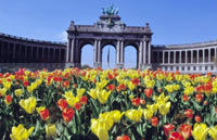 Brussels City Tour