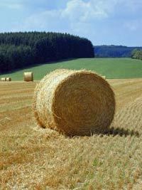 Luxembourg and the Ardennes Tour from Brussels