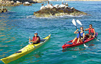 3 Bay Cruzade from Los Cabos