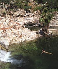 Baja Waterfalls and Canyons from Los Cabos