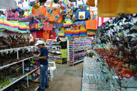 Los Cabos Deluxe Shopping and City Tour
