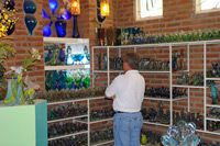 Los Cabos Deluxe Shopping and City Tour