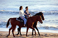Los Cabos Horseback Riding