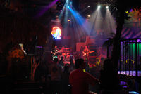 Rhythm of the Los Cabos Night