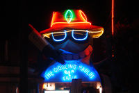 Rhythm of the Los Cabos Night