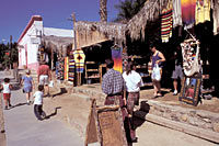 Todos Santos Tour from Los Cabos