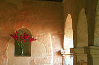 Todos Santos Tour from Los Cabos