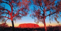 Australia Alice Springs - Alice Springs to Uluru Ayers Rock and Kata Tjuta Olgas 2-Day Tour tours