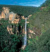 Blue Mountains and Australian Wildlife Encounter Motorcoach Day Tour