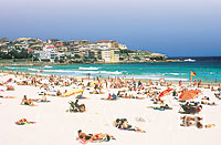 Downtown Sydney, Bondi and Kings Cross Tour plus Sydney Harbour Lunch Cruise