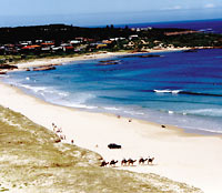 Port Stephens and Nelson Bay 4WD Adventure Tour includes Dolphin Cruise
