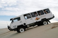 Port Stephens and Nelson Bay 4WD Adventure Tour including Dolphin Cruise