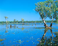 Ubirr, Guluyambi Cruise and Arnhem Land Tour