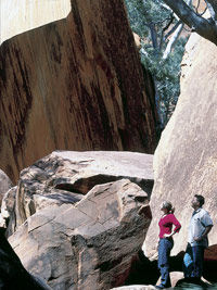 Uluru (Ayers Rock), Kings Canyon and Alice Springs 3-Day Tour