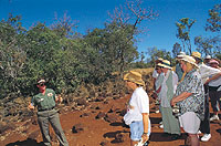 Valley of Volcanoes and Undara Lava Tubes Tour