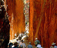 West MacDonnell Ranges Half-Day Tour with Optional Alice Springs Desert Park