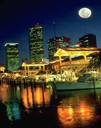 Miami City Tour including Bayside and Biscayne Bay Cruise