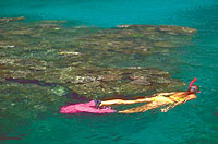 Day Cruise to Daydream Island