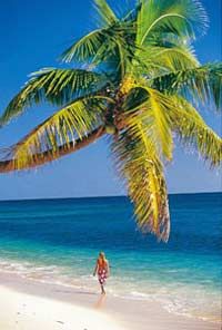 Fiji Mamanuca Islands Explorer Cruise