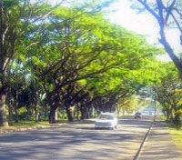 Half Day Lautoka Sightseeing Tour