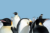 Antarctic National Museum and Genoa Aquarium