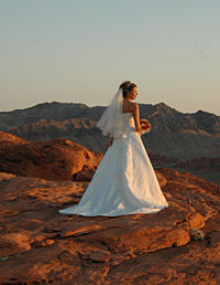 Valley Of Fire Helicopter Wedding