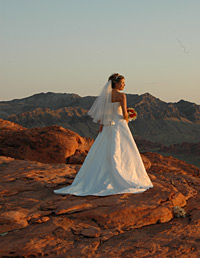Valley Of Fire Helicopter Wedding