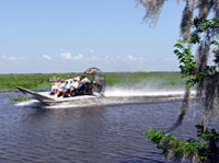 Half Day Airboat Combo Tour