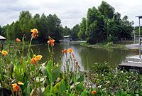 New Orleans' Cajun Bayou Tour