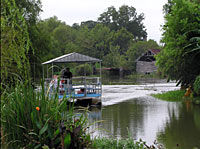 New Orleans' Cajun Bayou Tour