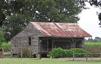 Westbank Plantation Tour