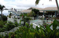 St. Thomas Island Tour and Shopping