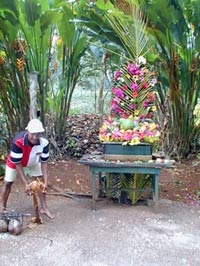 Croydon Plantation, Jamaica