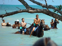 Horseback Ride and Swim in Jamaica from Montego Bay
