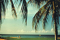 Negril Beach Tour from Trelawny