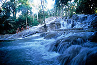 Ocho Rios and Dunn's River Falls from Montego Bay
