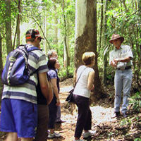 Gold Coast 4WD Eco Outback Tracks Tour