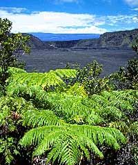 Big Island Hawaii Volcano Adventure