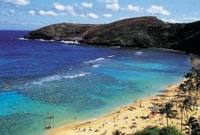 Diamond Head, Nu'uanu Valley Rainforest and Oahu Coastlines