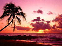 Grand Circle Island Tour Oahu with Dole Plantation