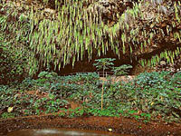 Kauai Waimea Canyon and Wailua River