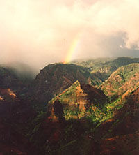 Kauai Waimea Canyon Experience