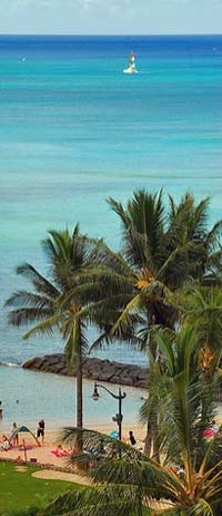 Oahu Grand Circle Island Tour with Dole Plantation