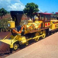 Oahu Grand Circle Island Tour with Dole Plantation